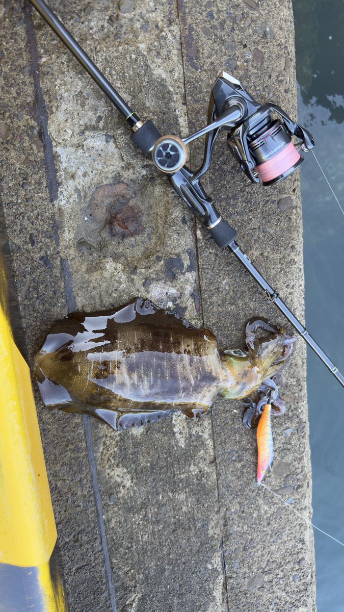 自作釣具 mqdefault.jpg