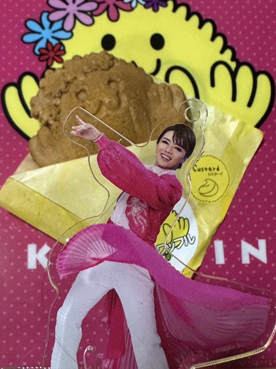 ★ノリノリ★様 リズム 日本野鳥の会 四季の野鳥 報時掛時計408 8MN408SR06