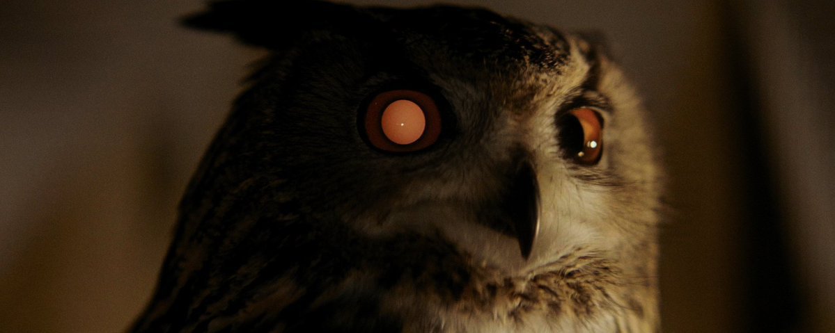 blade runner (1982) dir. ridley scott