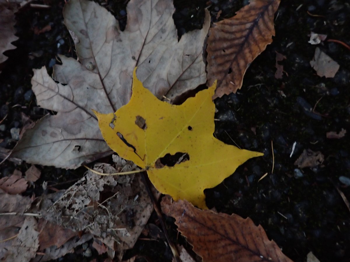 滝野の森staff on X