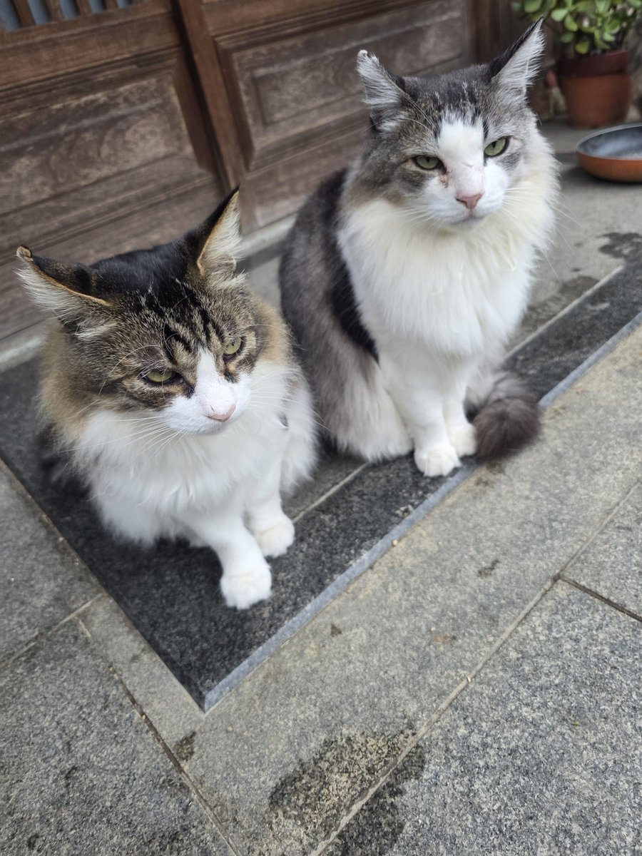 mayuページ 823300_08.jpg.jpeg?width=750