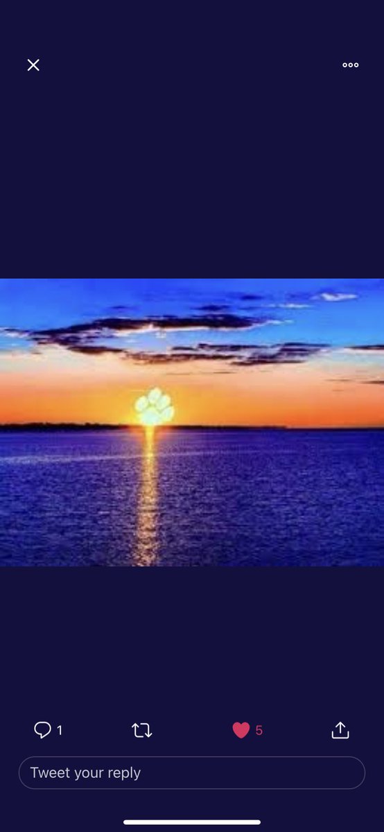 Dani Stone tweet media