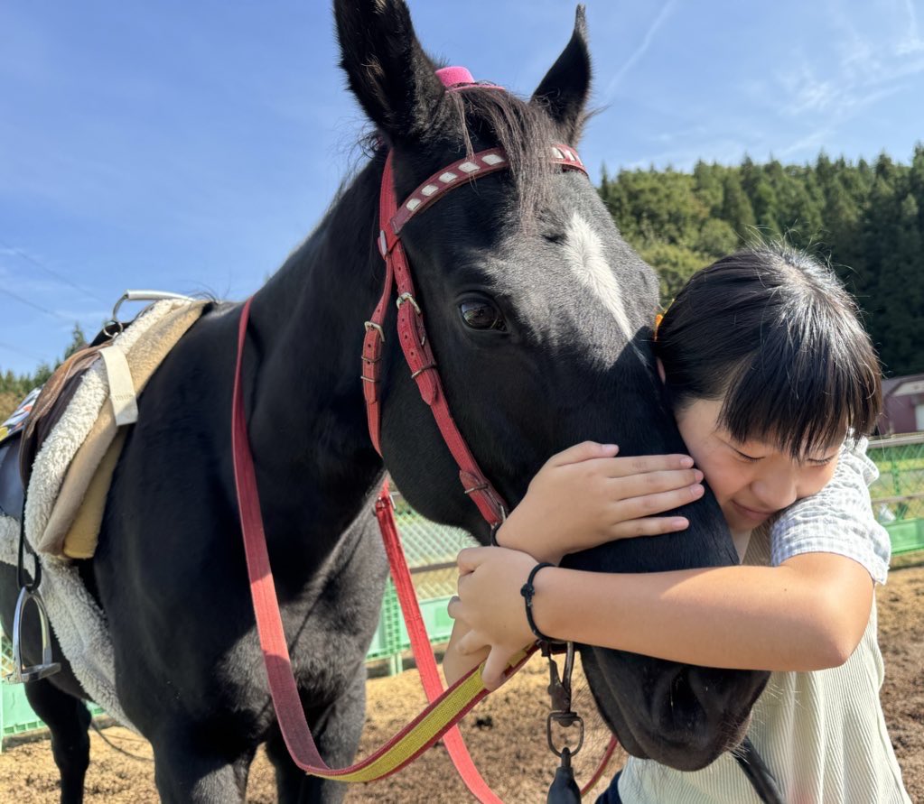 美ぃたん🌻馬と友に歩む静かな暮らし🌻 on X