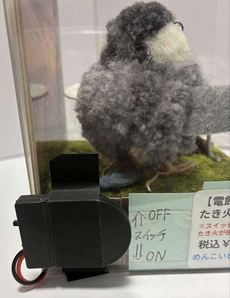 ピーちゃん (@BuraH1JzuQ73wHB) / Posts / X