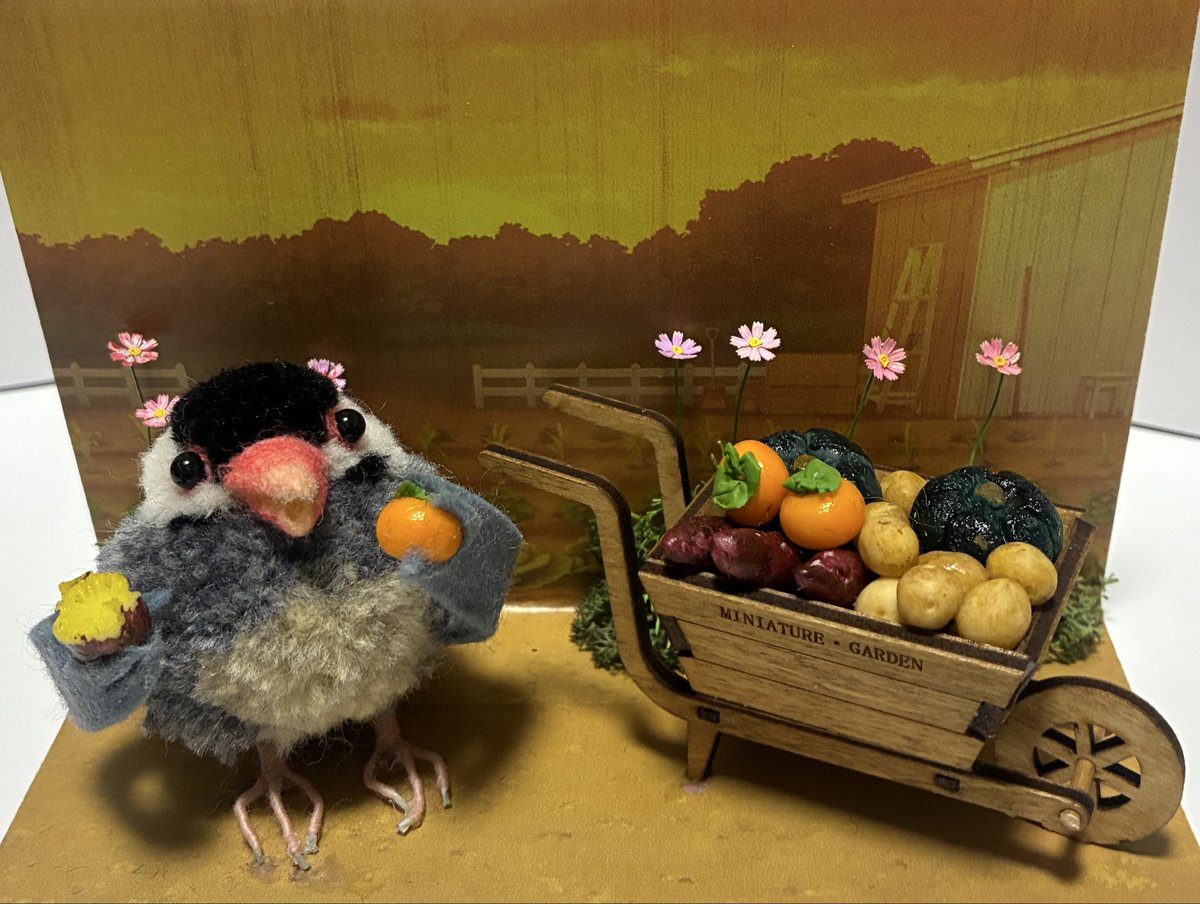 ピーちゃんページ ピーちゃん on X