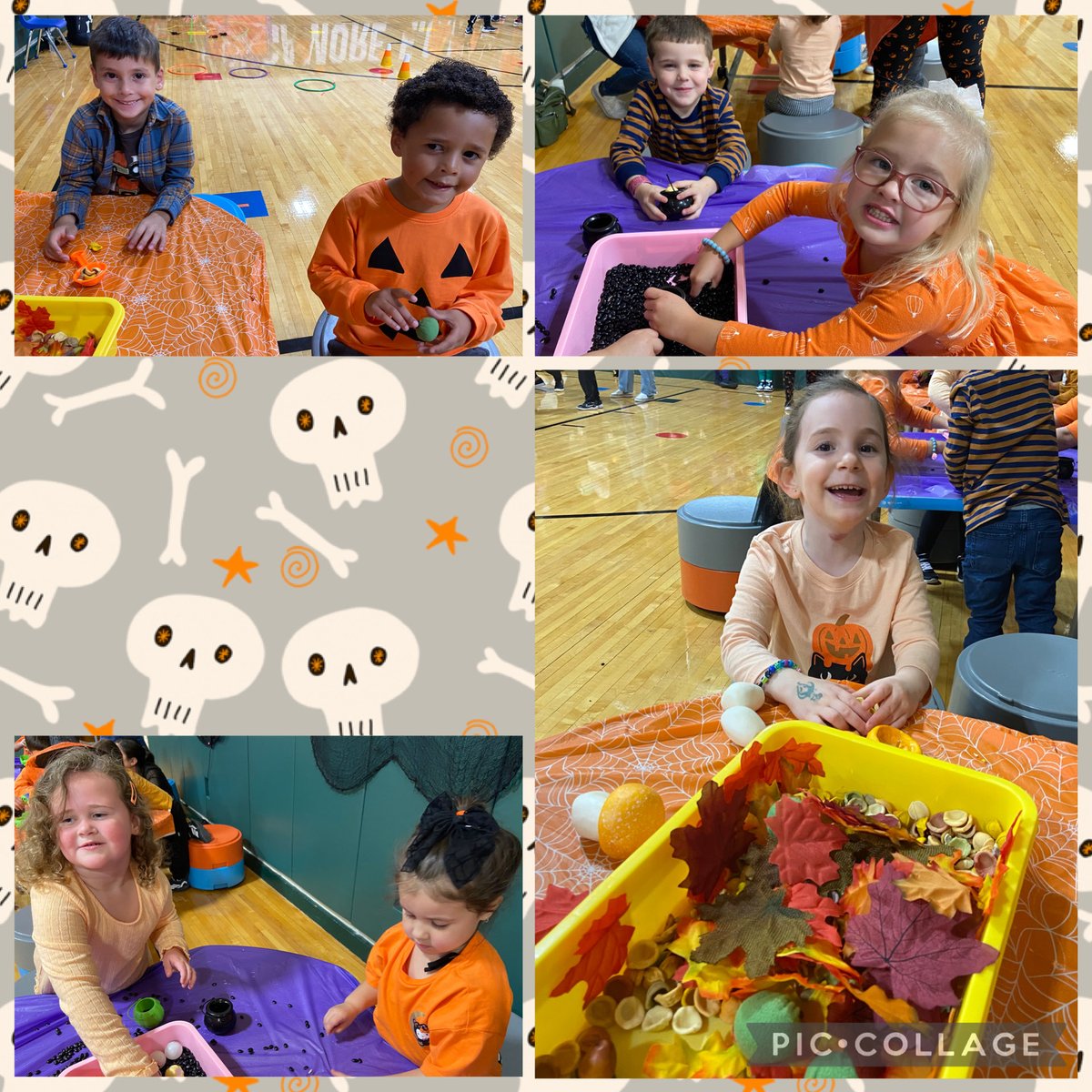 msjjcoleman's tweet image. 👻👻BOO BASH!👻👻
Thank you @SDSPTO for a super fun Halloween event!🎃
@SycamoreECLC 
@KaczalaLori