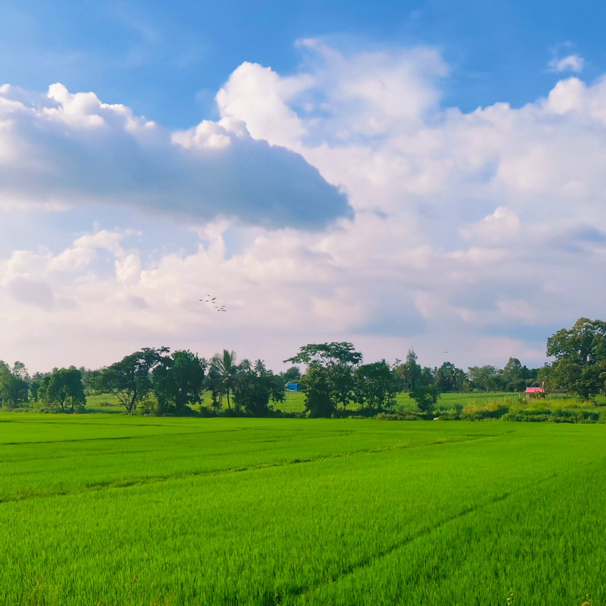 Bliss ❣️
#PhotographyIsArt