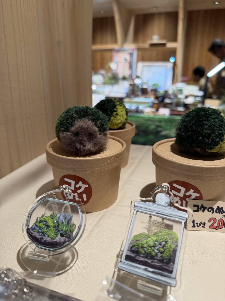 苔楽さんの
「苔テラリウムクリエイターズマルシェ」
行ってきました！
可愛い作品や苔グッズがいっぱい…✨
我が家のテラリウムのために専用水を買い足せたのはラッキーでした

名古屋グローバルゲートで今日までです!
ぜひ！