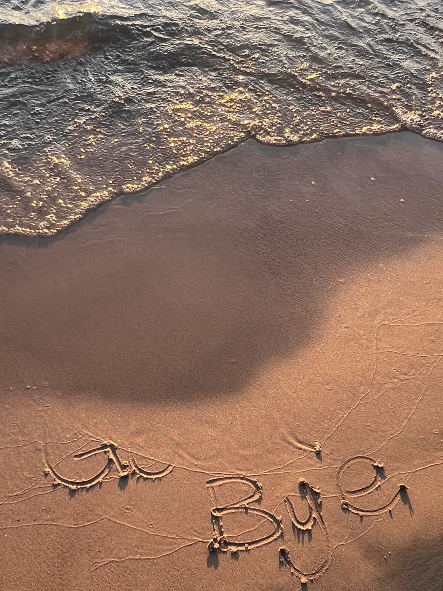 beckandreckdeck's tweet image. It’s so relaxing to take a walk in the gentle sea breeze 🌊🌅🍃💙