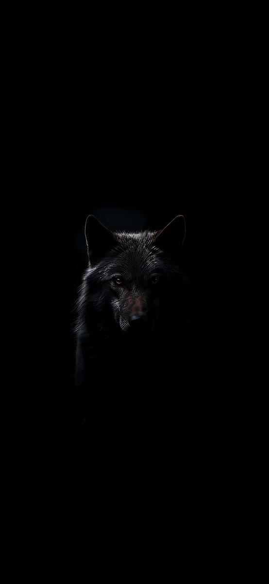 WallersGallery (@wallersgallery) on Twitter photo 