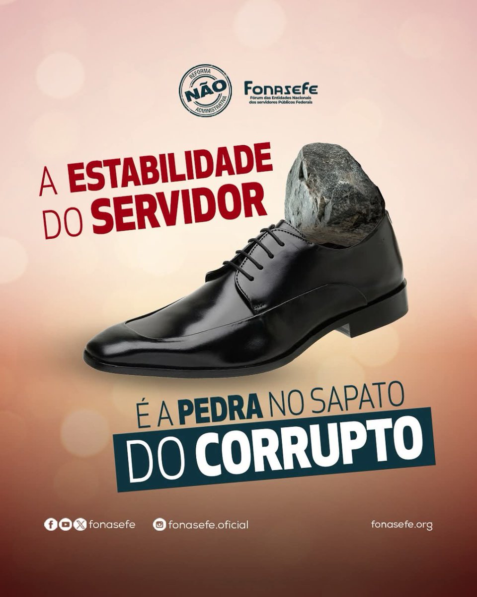 Querem o fim do serviço público e liberar de vez a corrupção no país. 
CONGRESSO INIMIGO DO POVO
