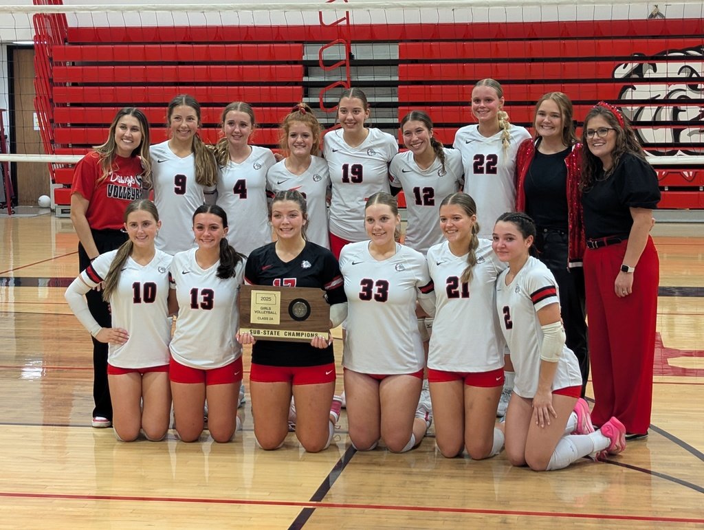 Sub State Champions State Bound Lady Dawgs! Congratulations Ladies! Go Dawgs!