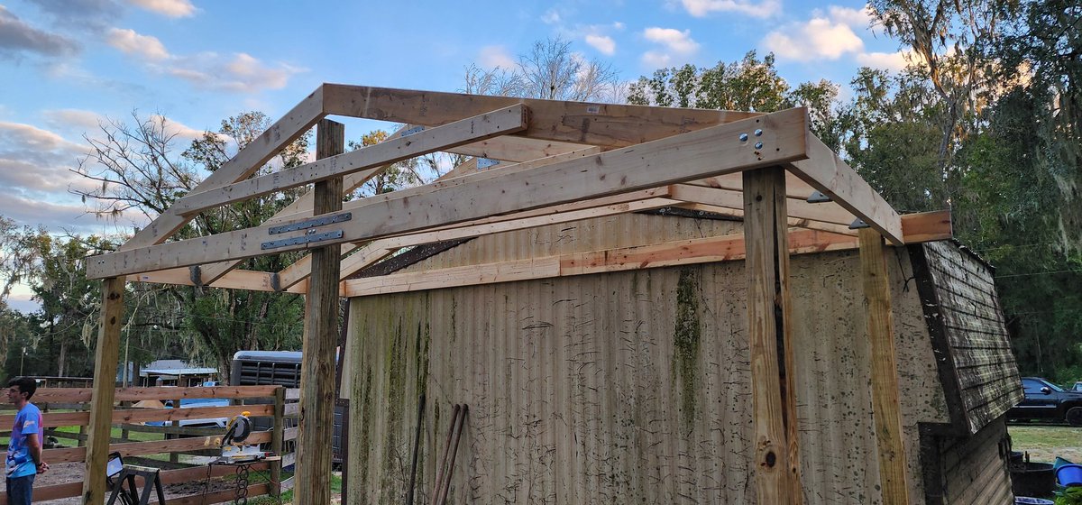 I raised a barn (shed) 
Roofing tomorrow