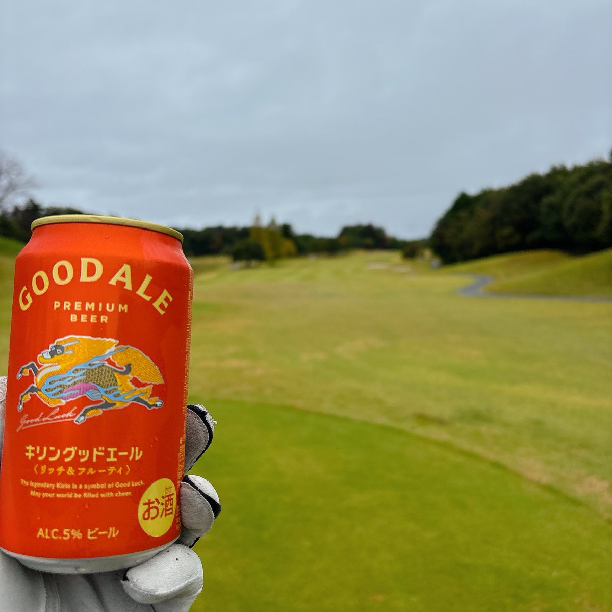 ゴルやん やんさん【公式】 on X