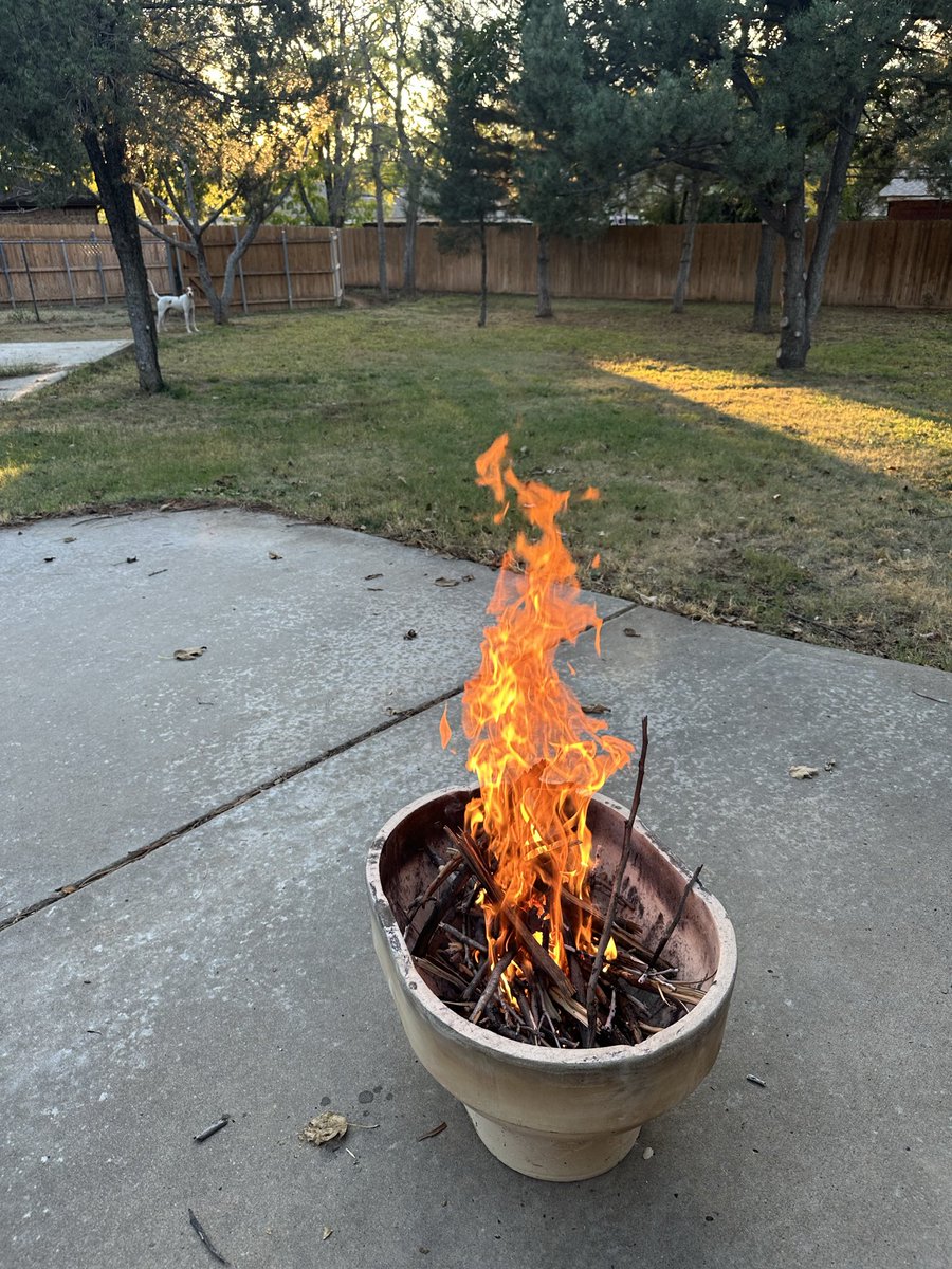 brthamer13's tweet photo. It’s sort of Fall Y’all https://t.co/sepoGDDOjN