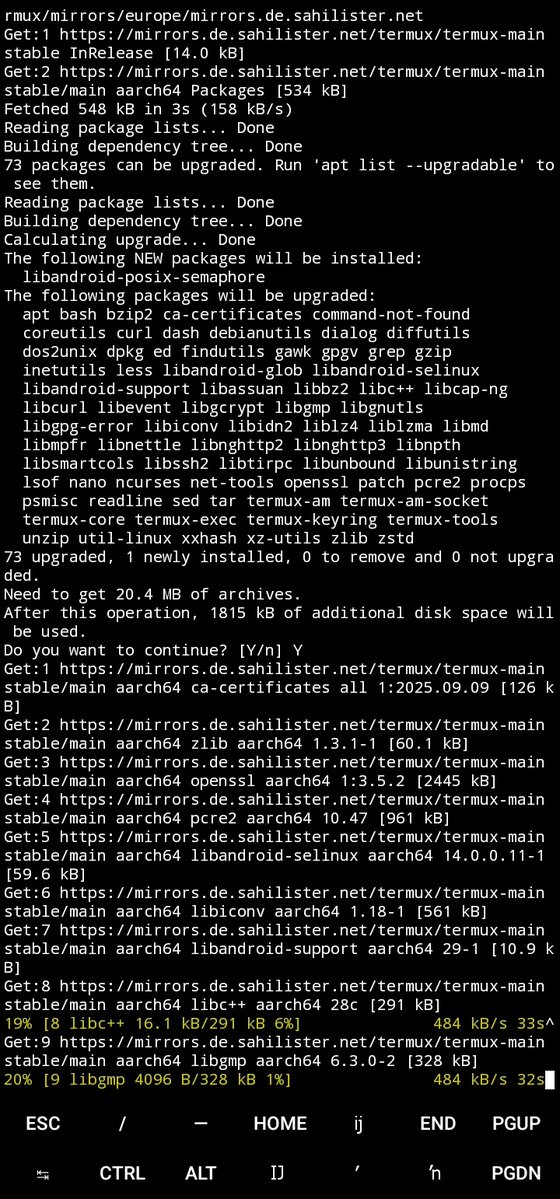 ekojoecovenant's tweet image. Days 336 - 337:
Couldn't code due to electrical issues. But instead of complaining, I'm gonna be coding with my phone until the problem is solved.
#365DaysOfCode #BuildInPublic #termux #android #fdroid #phedc