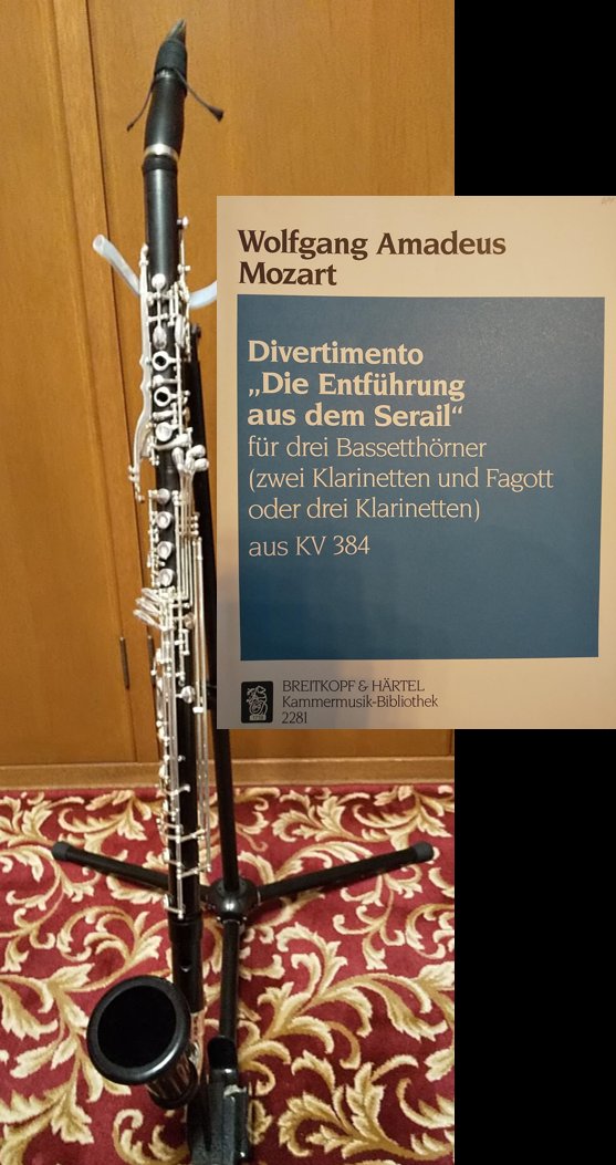 元フィンランド放送首席 ヨウコ・ハルヤンネ 3枚組 元フィンランド放送