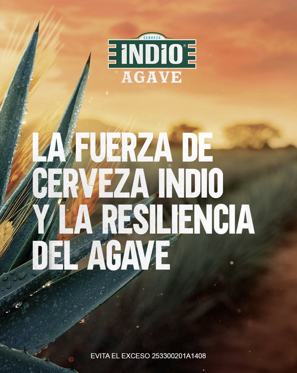 Cerveza Indio tweet media