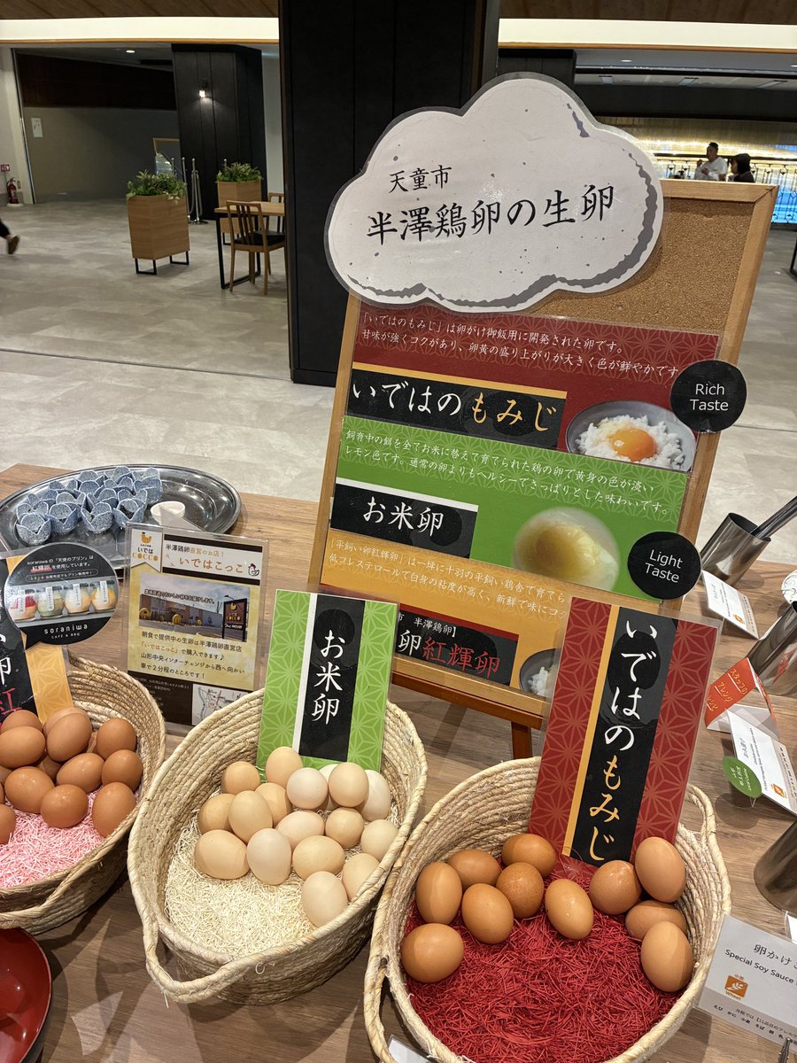 たまごさん (@honjonetsu) / Posts / X