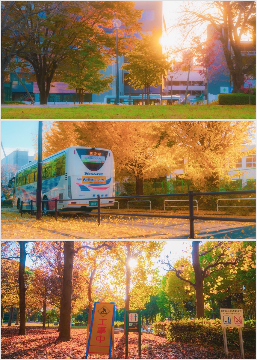 カメラ越しの私の世界