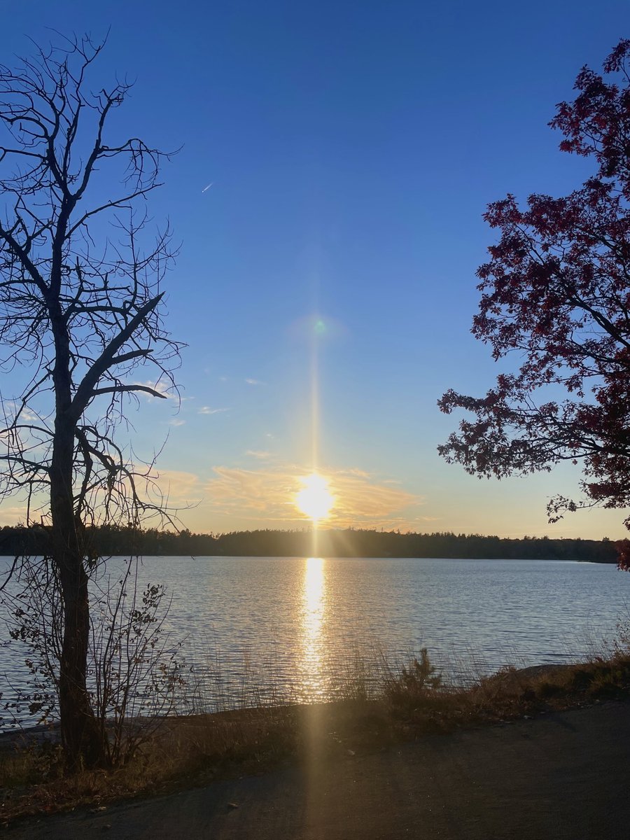 jenn1662's tweet photo. Cheers to a quiet evening.
Be safe and happy friends ππ
Peace out βοΈ
#muskoka #notanothersunset https://t.co/F3xsukZbwG