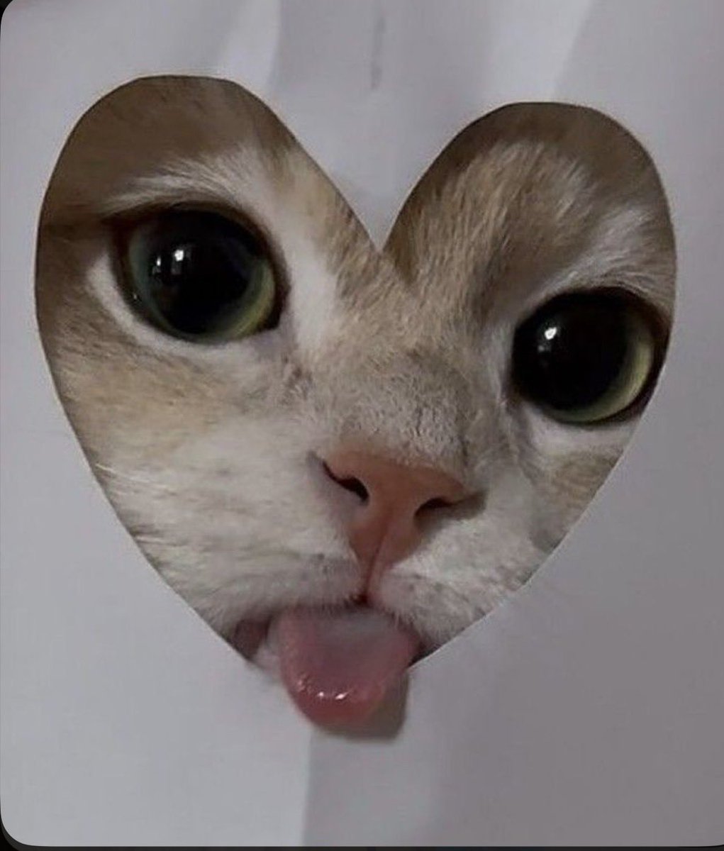 *licks you as you scroll*