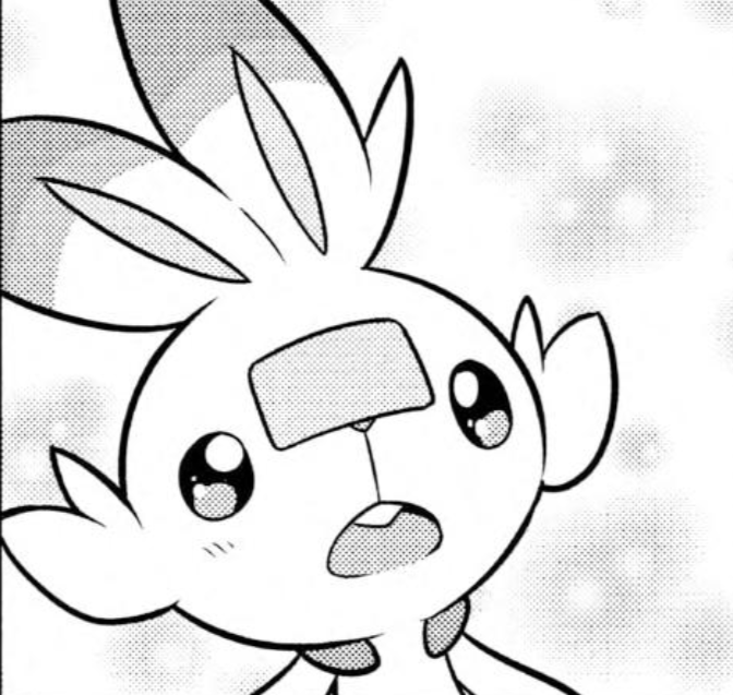 Scorbunny tweet media