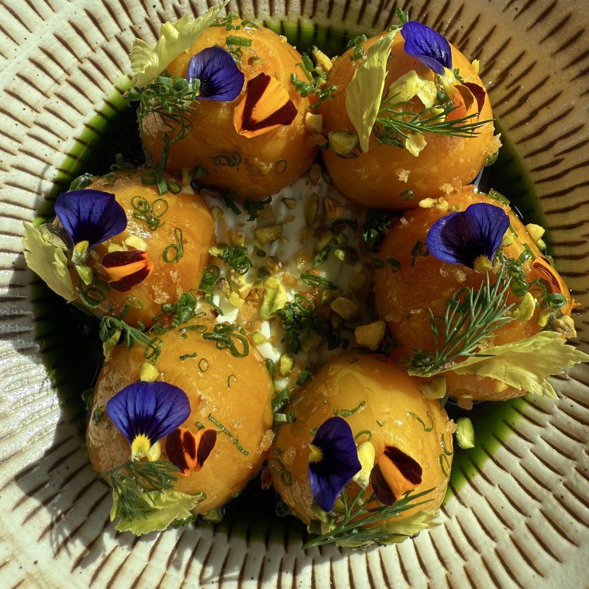 soylaflare's tweet photo. BEETS POACHED IN DUCK FAT & ORANGE JUICE- WHIPPED RICOTTA , PISTACHIO & BASIL . SIMPLE & CLEAN .
#OUICHEF https://t.co/8GiDvGVIHt