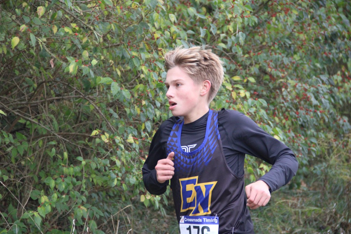 Mark Liepe tweet media