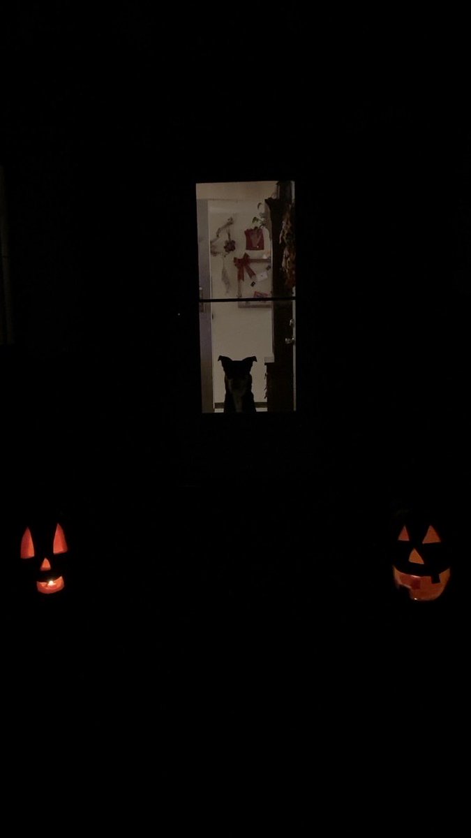 🎃 Spooky Season 🎃