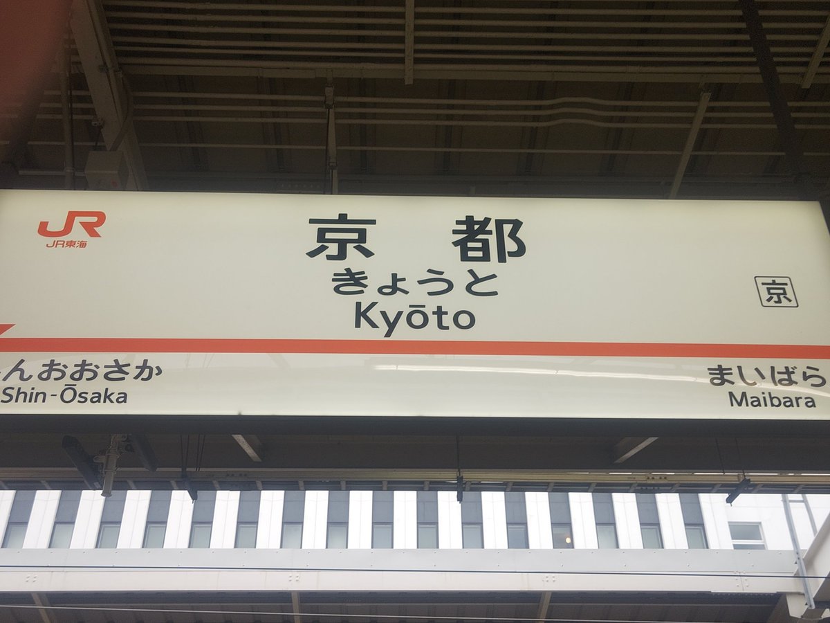 ウマフラー 芦毛 白 welcomeチャンス 非売品 来場ポイント ウマフラー 芦毛 白 welcomeチャンス 非売品 来場ポイント