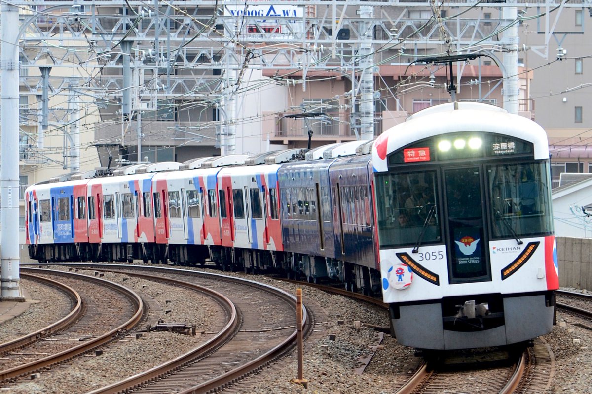 ✨*:.｡. forest .｡.:*✨ on X