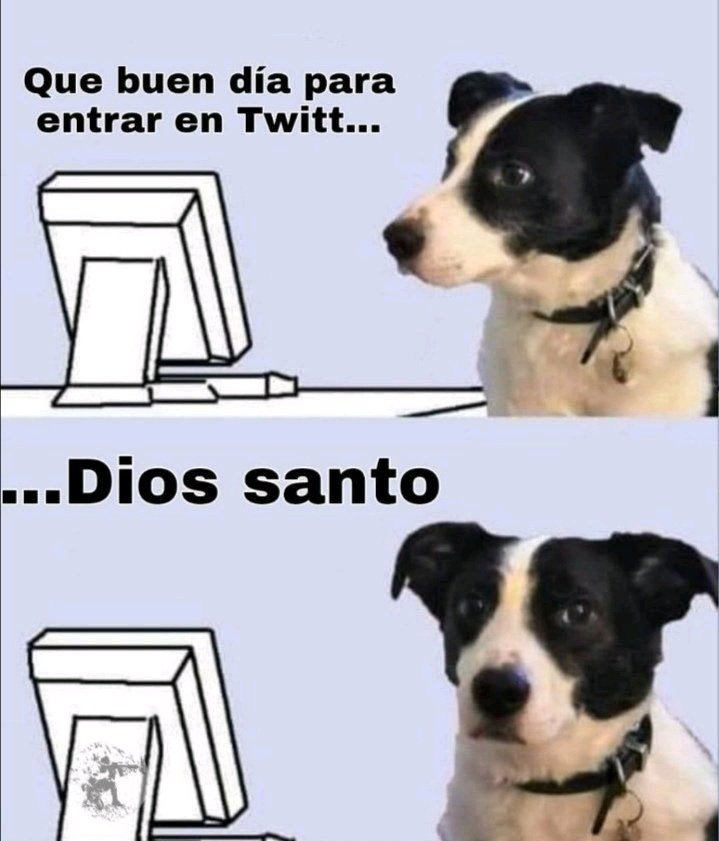 Leo1681434's tweet photo. @EsTendenciaEnX https://t.co/XKngphL4Rd