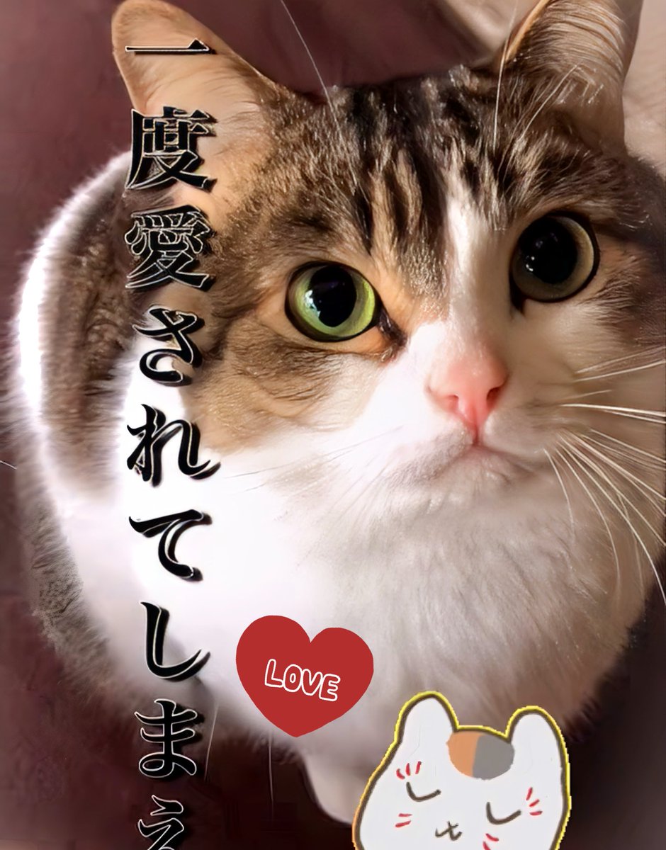 きー777様♡ありがとうございます♡ アッキーアッキー on X