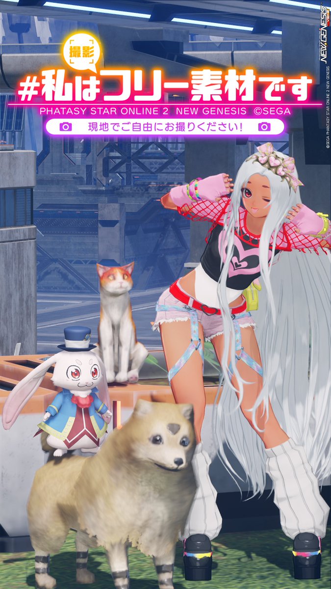 cacaorich_cat's tweet image. あげぽよ~ネムレスでフリ素するよー!
今日のコーデきまZ🔥みんな来てあげみっしょ⤴️⤴️
🐾撮影推奨からネムレスへ
🐾PS:cacaorich
🐾全チェック
終了時間は未定?
#私はフリー素材です #PSO2NGS_SS