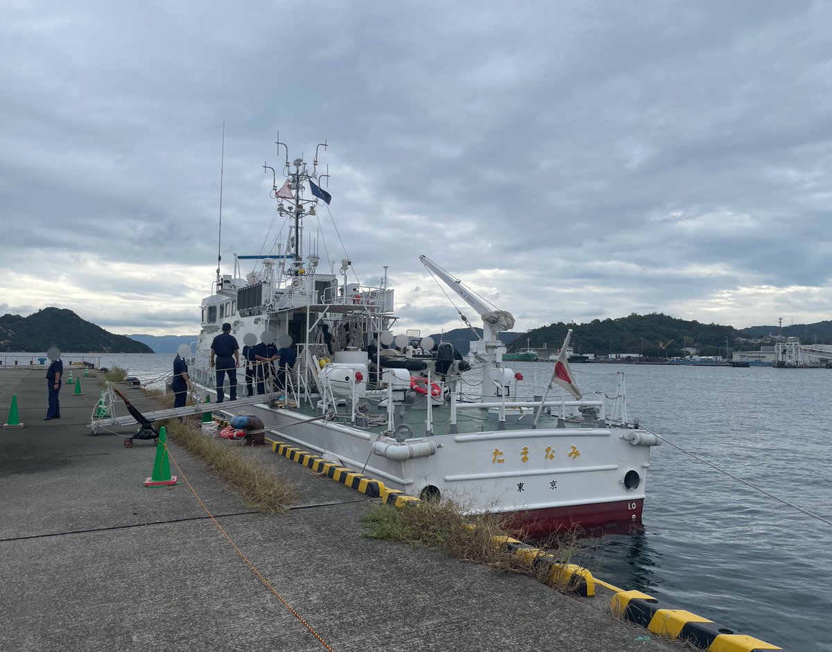 うみまる様 野生のうみまる on X