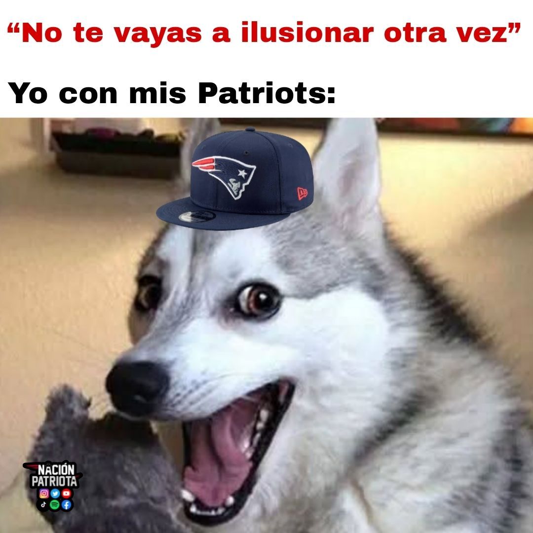nacionpatriots's tweet photo. MAÑANA JUEGAN LOS #PATRIOTS https://t.co/tYLHN3I83J