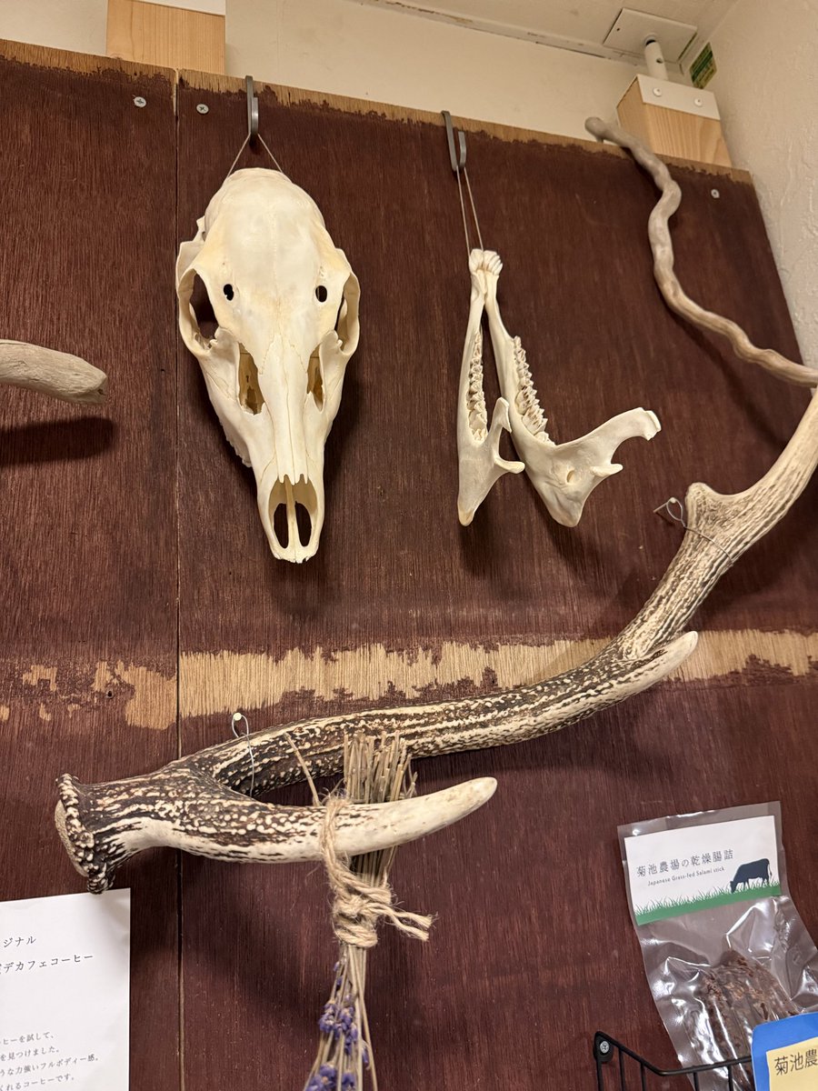 ARASHIOPIさま確認ページ♡ 🇲🇻 モルディブありがとう。いつかまた帰ってきます🤝 年明け1発目