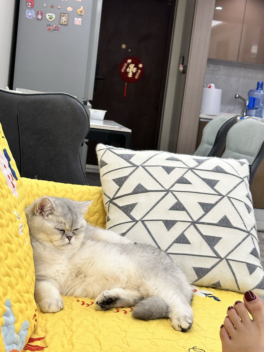 天这么冷，真想让主人把玉足插进我女朋友的骚逼里暖脚，双脚都插进去，我女朋友还要谢谢主人