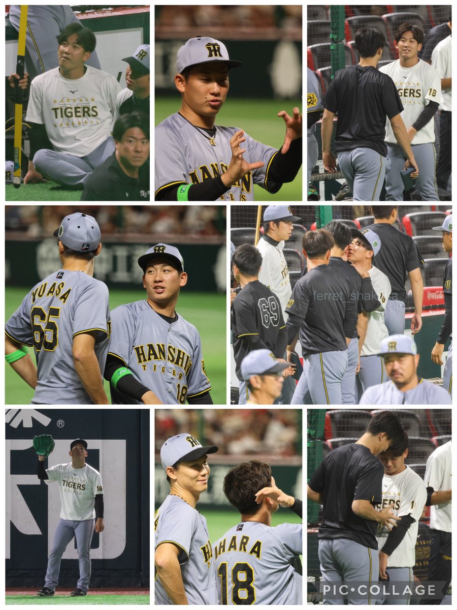 fickle_non's tweet photo. 基本的に練習でしか見れないから、ビジター練習は神🫶

#伊原陵人 https://t.co/YGW6MwaFir