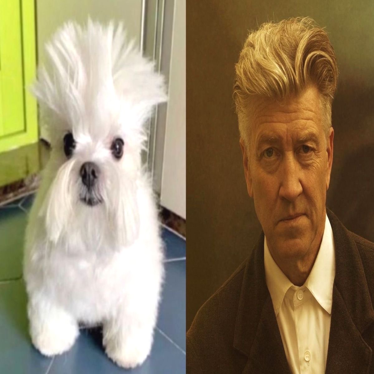 The_Lynchian's tweet image. Missing him today