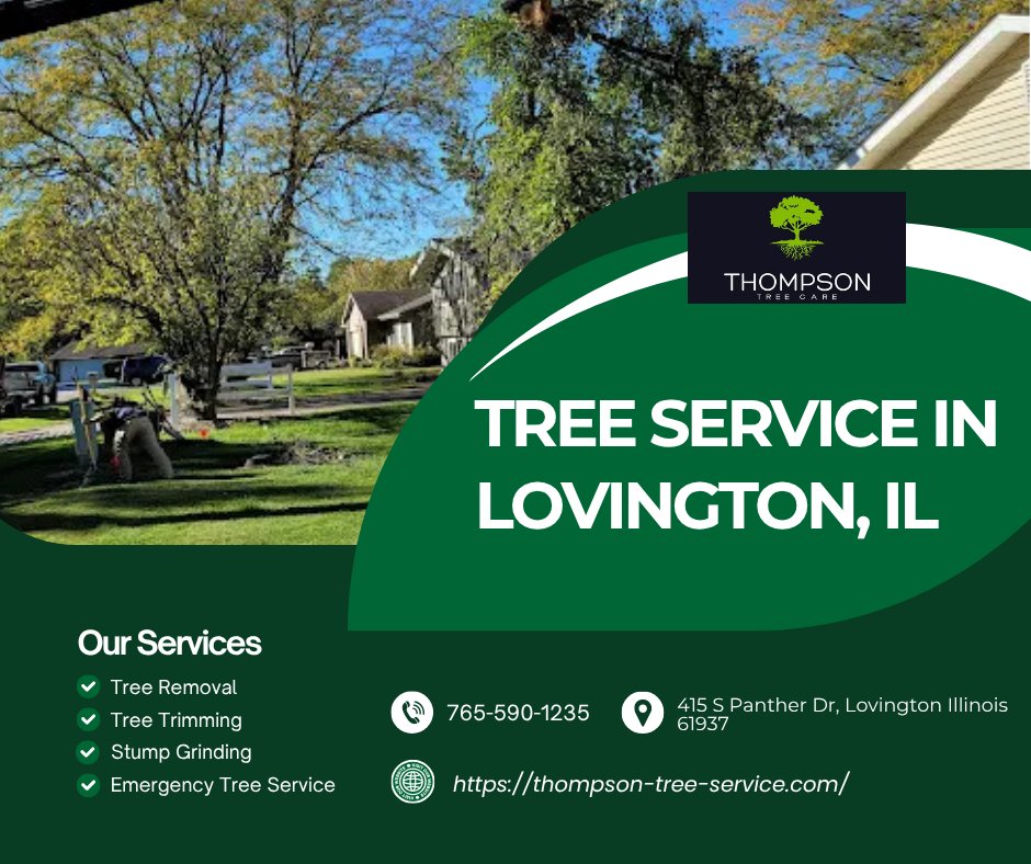 Thompson Tree Care (@thompsontree1) / Posts / X