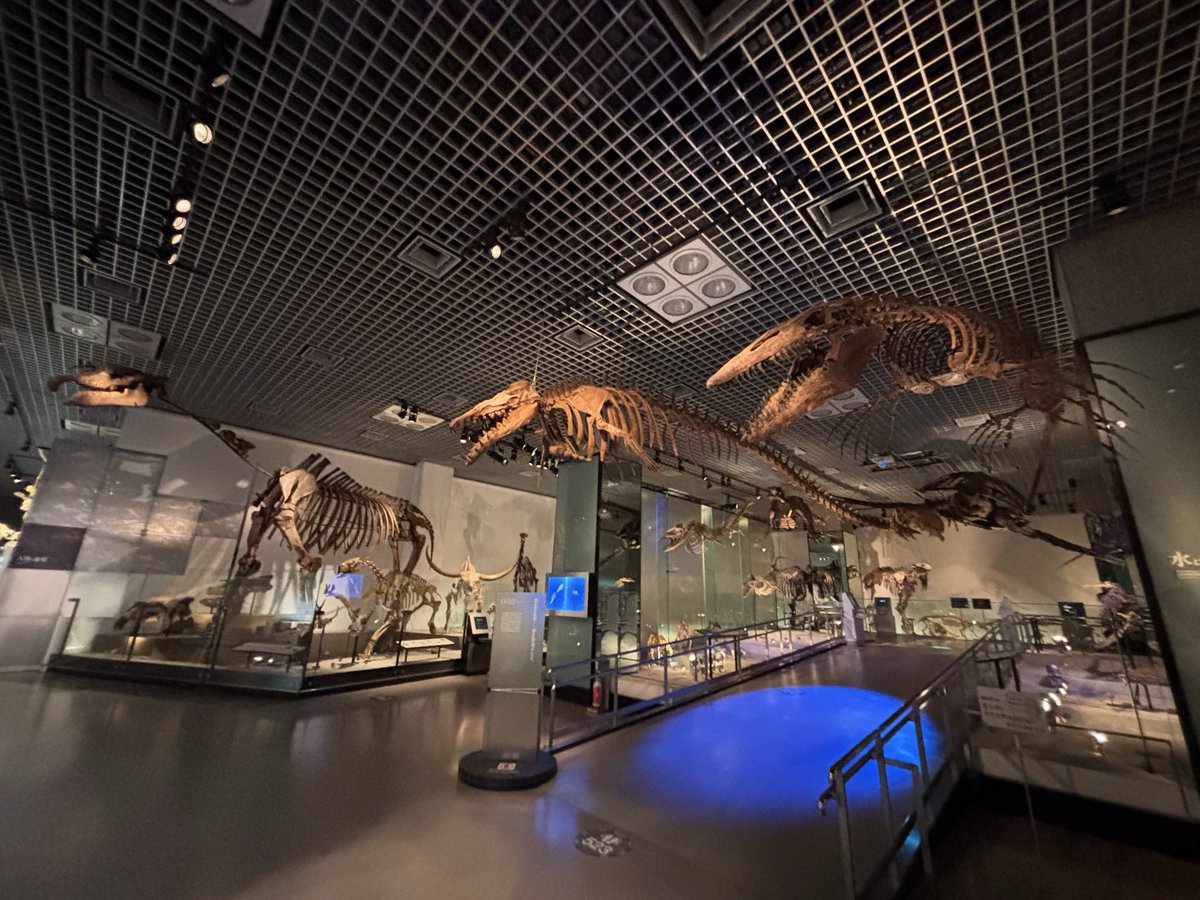 顕ページです！！ ジンベエー on X