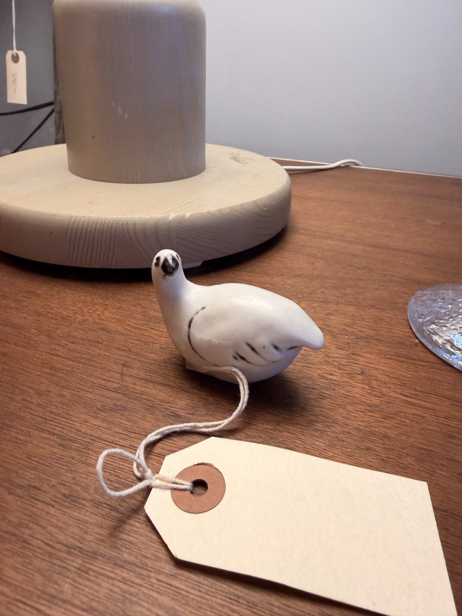 Bird 🌲🦆 tweet media