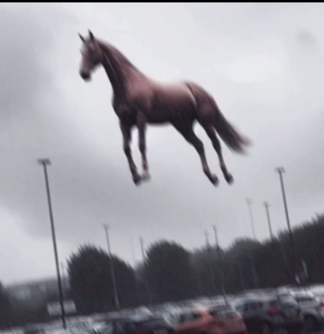 You almost got me ma’am