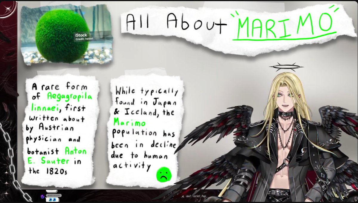 Cookech a Vampire (@Cookech_Vampire) / Posts / X