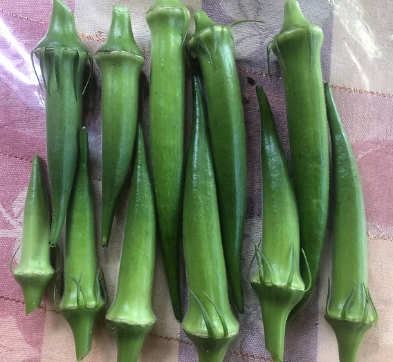 ตอนนี้พวกเราทุกคน กินไมโครพลาสติกเข้าร่างกายปริมาณเท่า บัตรเครดิตพลาสติกแข็งๆ 2 ใบต่อสัปดาห์ และมันซึมไปทั่วทุกส่วน เช่นสมอง หัวใจ เส้นเลือด หนักกว่าไขมันที่ไปอุดตันอีก
ซึ่งบทวิจัยและทดลองเผยว่าเมือกของกระเจี๊ยบช่วยจับ microplastic และเคลือบลำไส้ไม่ให้ดูดมันเข้าไป และขับถ่ายออกมา