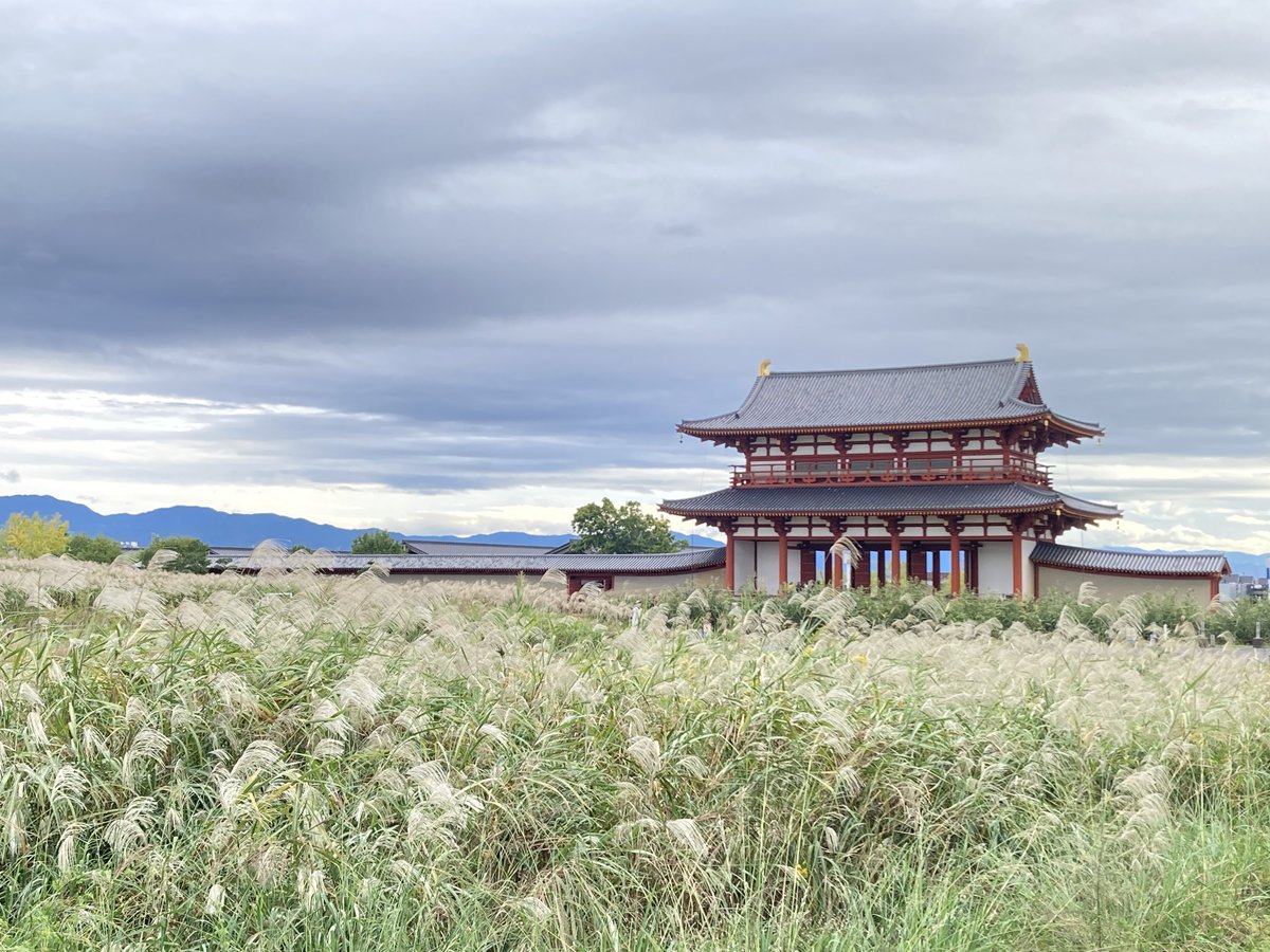 yuriページ その他 YURI ユリ Yuri Reviews: Megaman ZX | MegaMan Amino