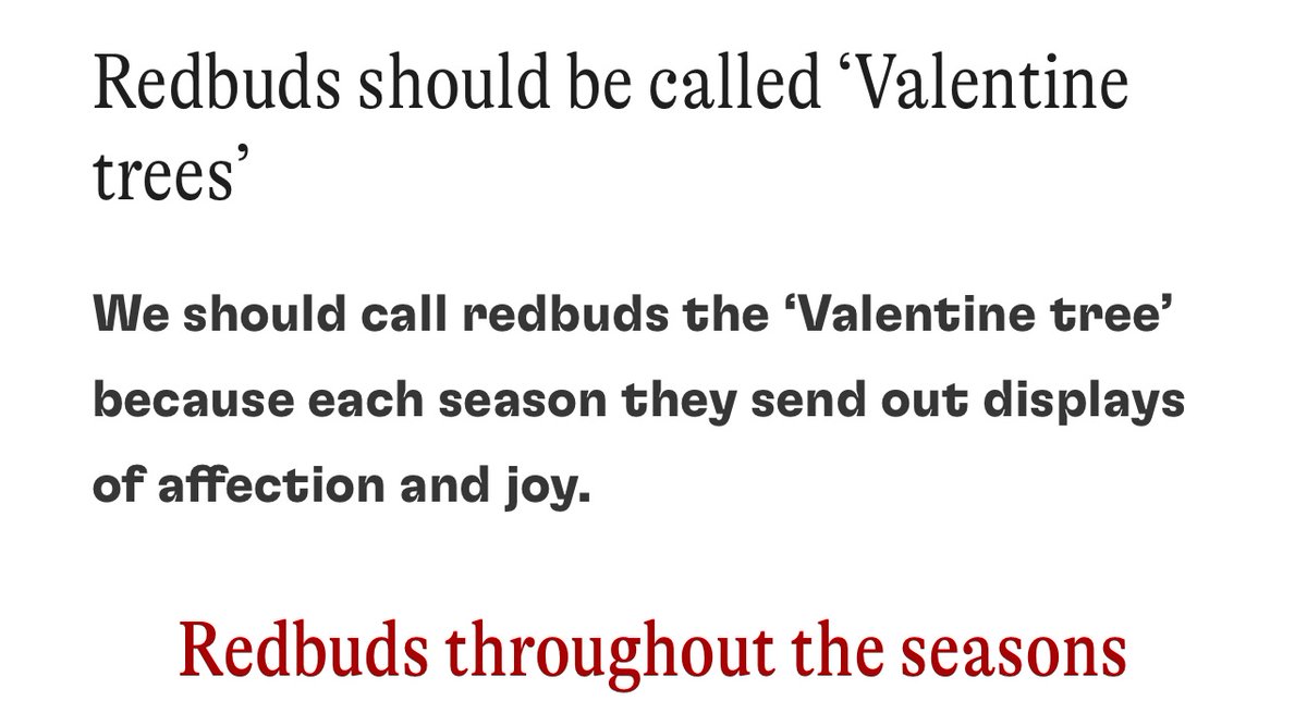 PullTheShade3's tweet image. @AmChemistry 
@ChemistryNews 
@NatureChemistry 
Putting two and one together 
Three makes the unbreakable code
May need SweetnER 
#Safetyfirst 
#ShootACombo 
#RootCauses 
#AchesandScars #pulltogetherproject