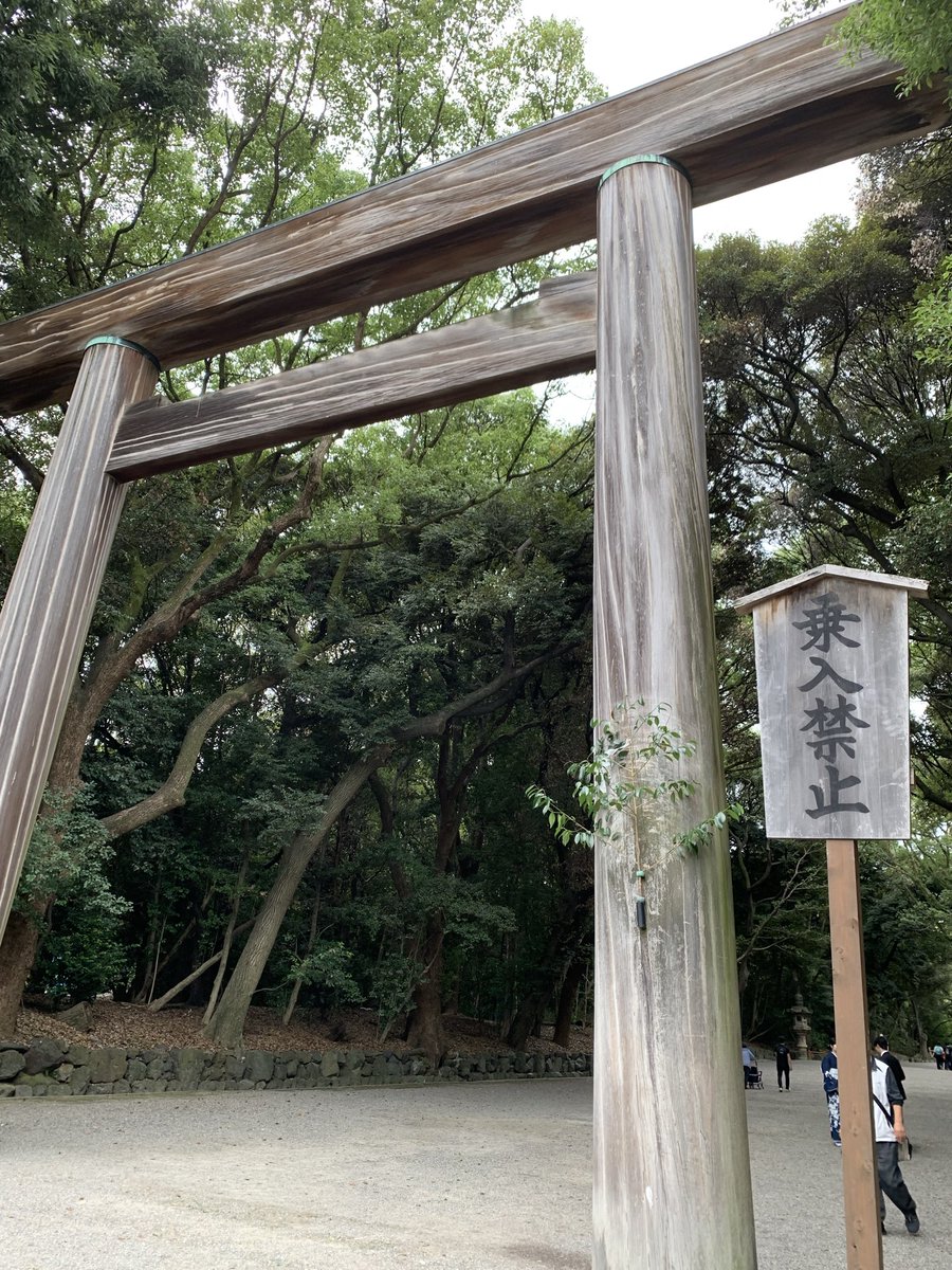 ヒナコ tweet media